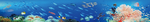 海底世界