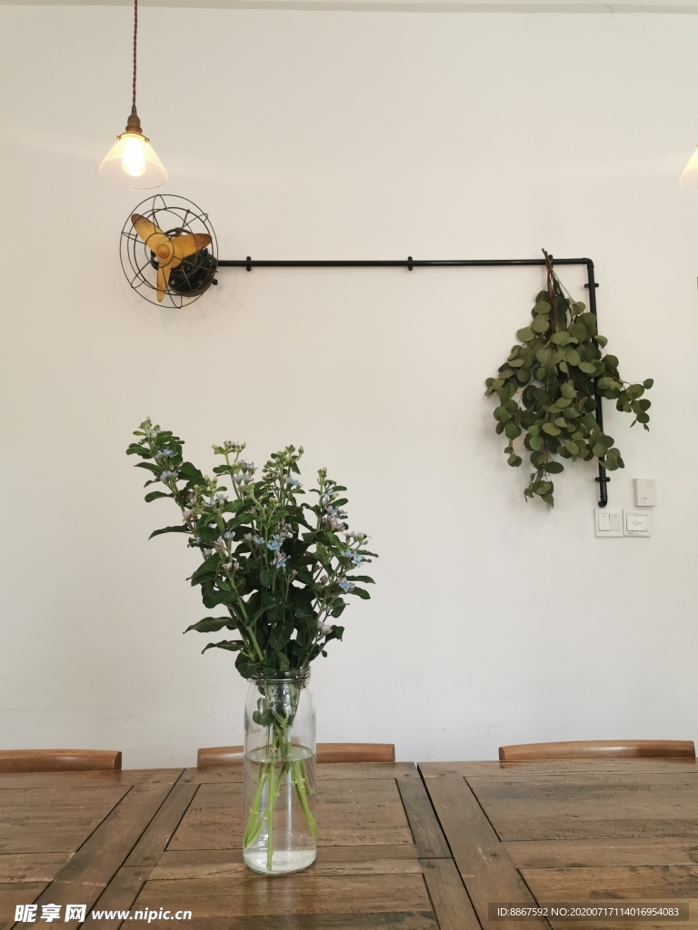 店内软装植物装饰