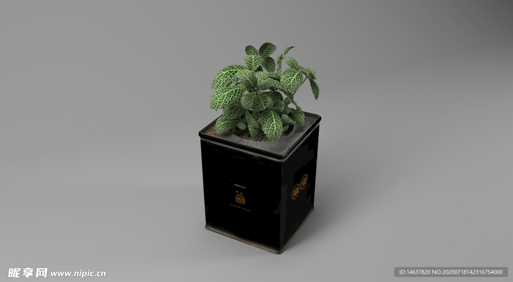 LOGO样机