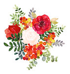 手绘红色花草花卉
