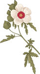 手绘文艺清新花草花环