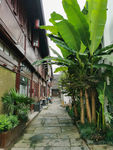 杭州桥西历史街区