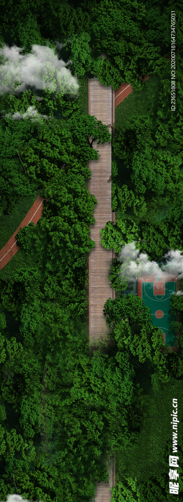 绿色背景