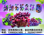 葡萄大海报