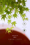 大暑
