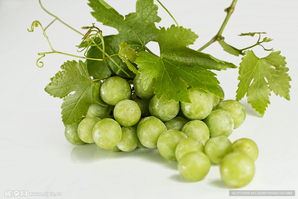绿色葡萄高清素材照片