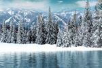 雪景