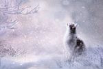 雪天背景