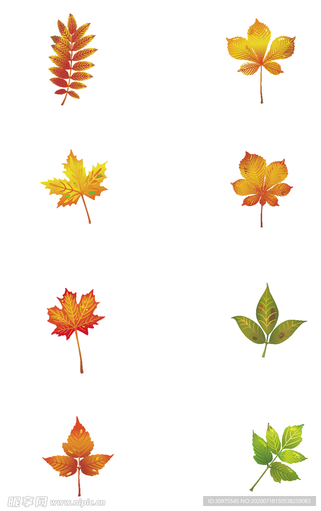 叶子手绘图标