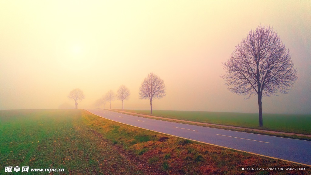 黎明雾霭中的小路