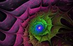 海底生物花纹