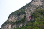 藏山风光