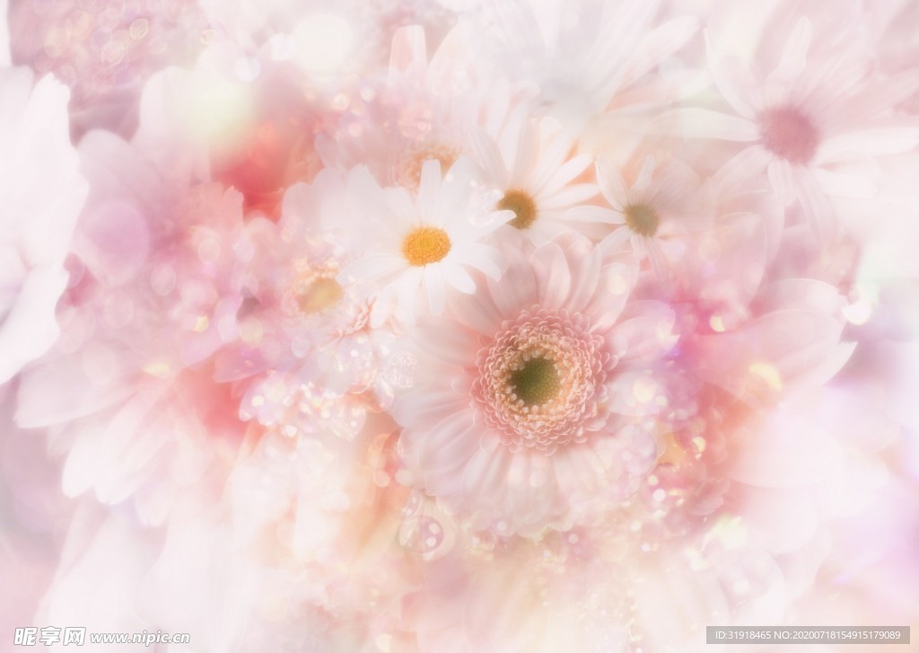 粉色花朵底图