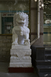狮子