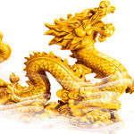 金龙