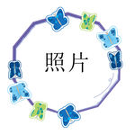 蝴蝶照片框