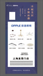 万科地产欧普照明交房热卖