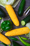 蔬菜海报 精品蔬菜 有机蔬菜