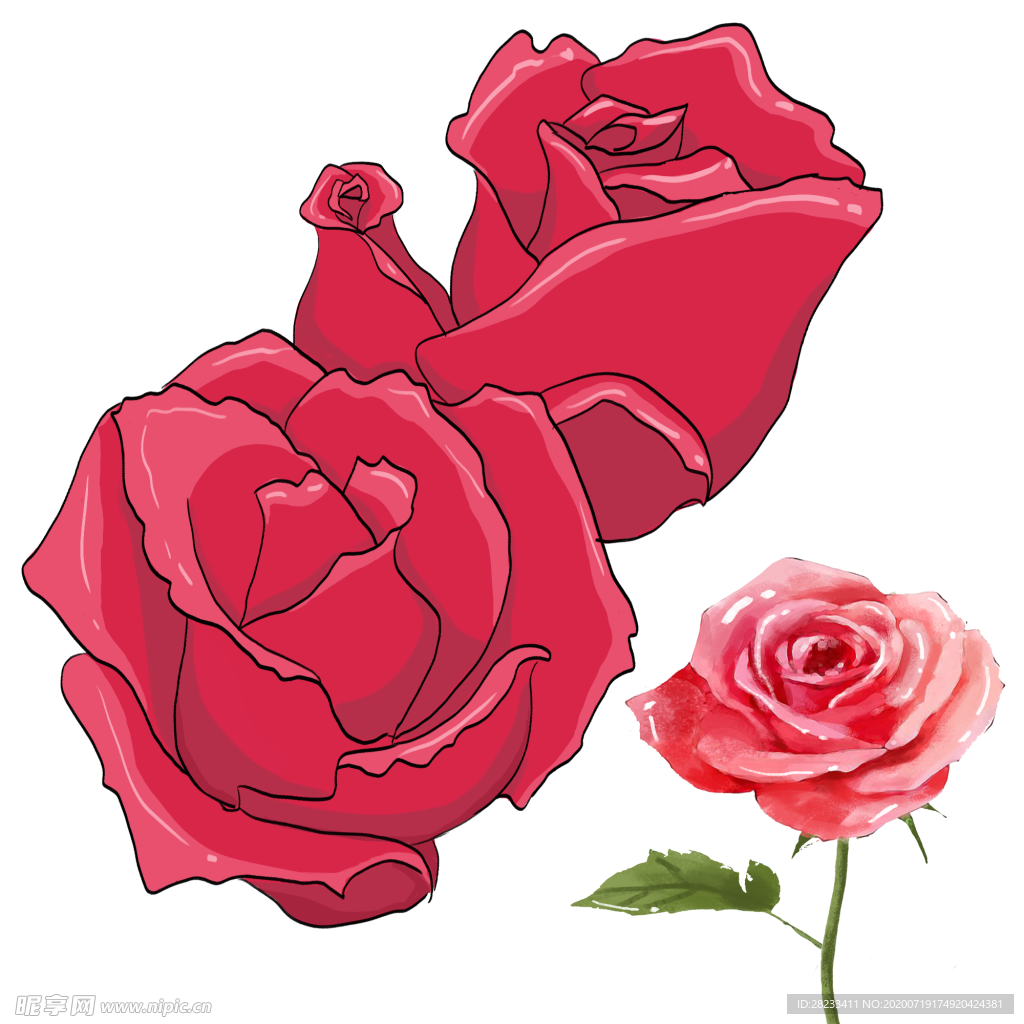 玫瑰花