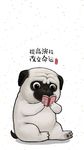 狗狗手绘