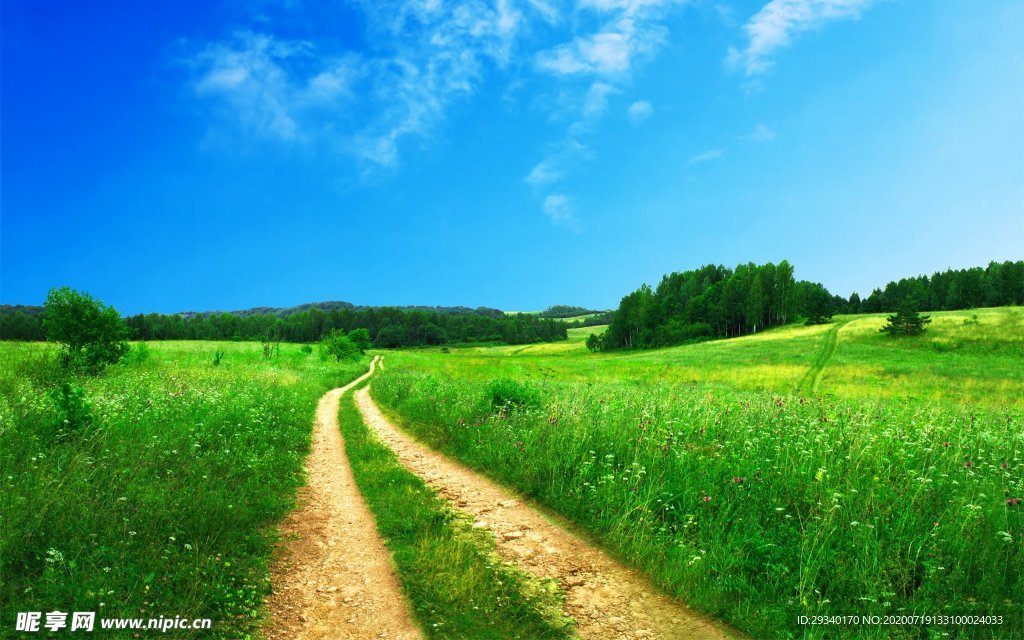 路