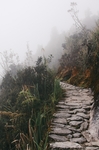 路
