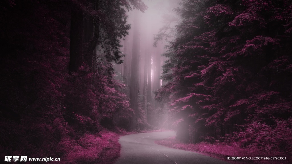 路