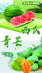 西瓜 青芒