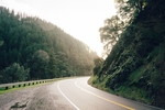 森林马路