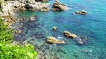 海水 礁石
