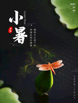 小暑海报