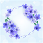 紫花