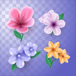 鲜花