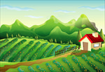 乡村