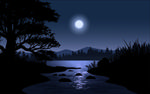 月夜美景