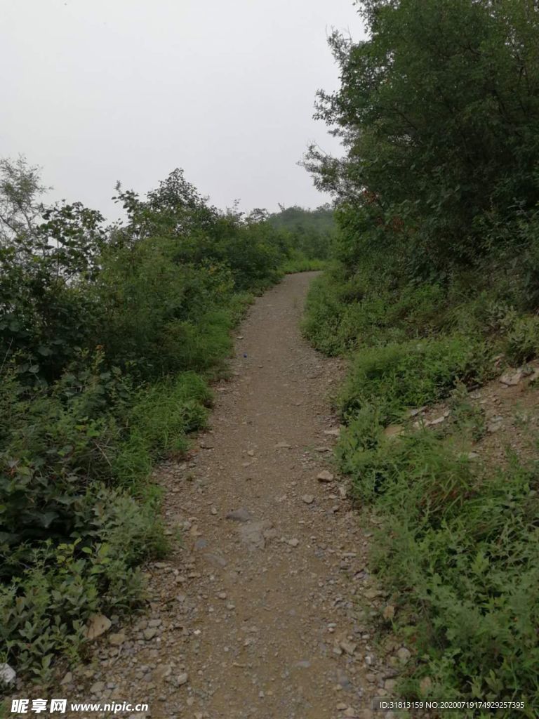 神农山登山小路