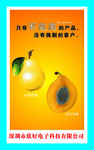 追求完美
