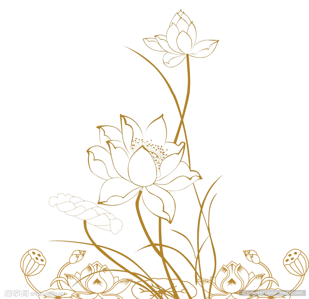荷花