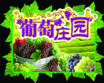 葡萄庄园