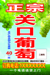 关口葡萄