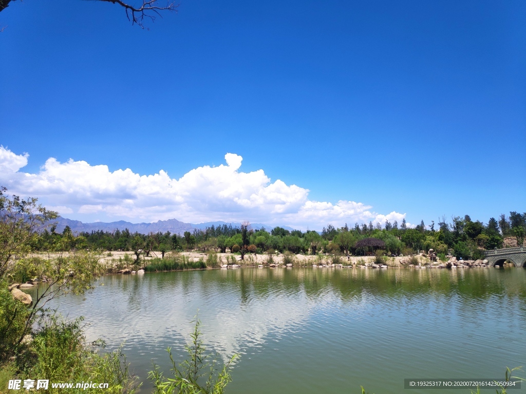 夏日美景