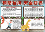台风小报