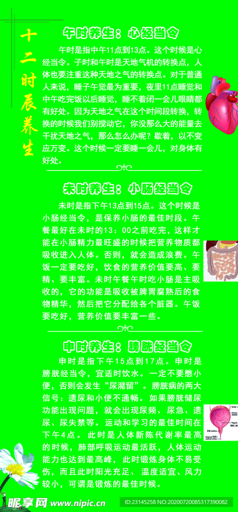 十二时辰养生