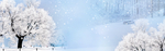 冬季雪景