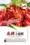 小龙虾海报   龙虾美食海报