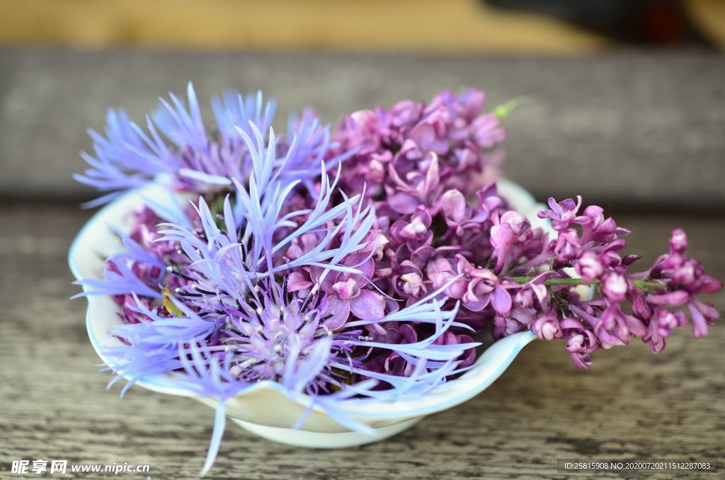 丁香花