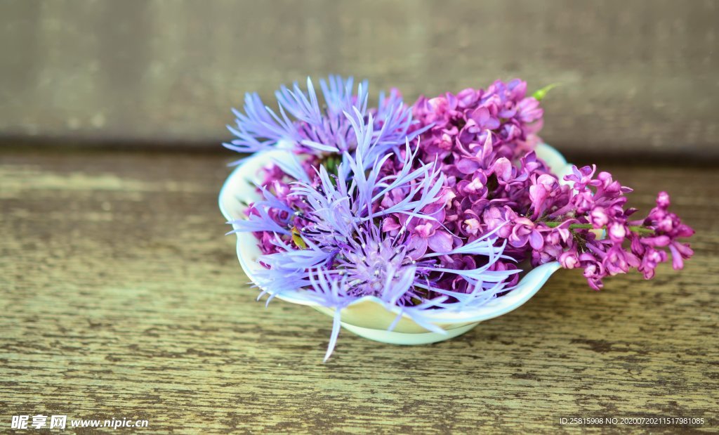 丁香花