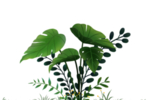绿植简约插画海报合成素材