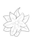 手绘 花 手绘花 线 线稿
