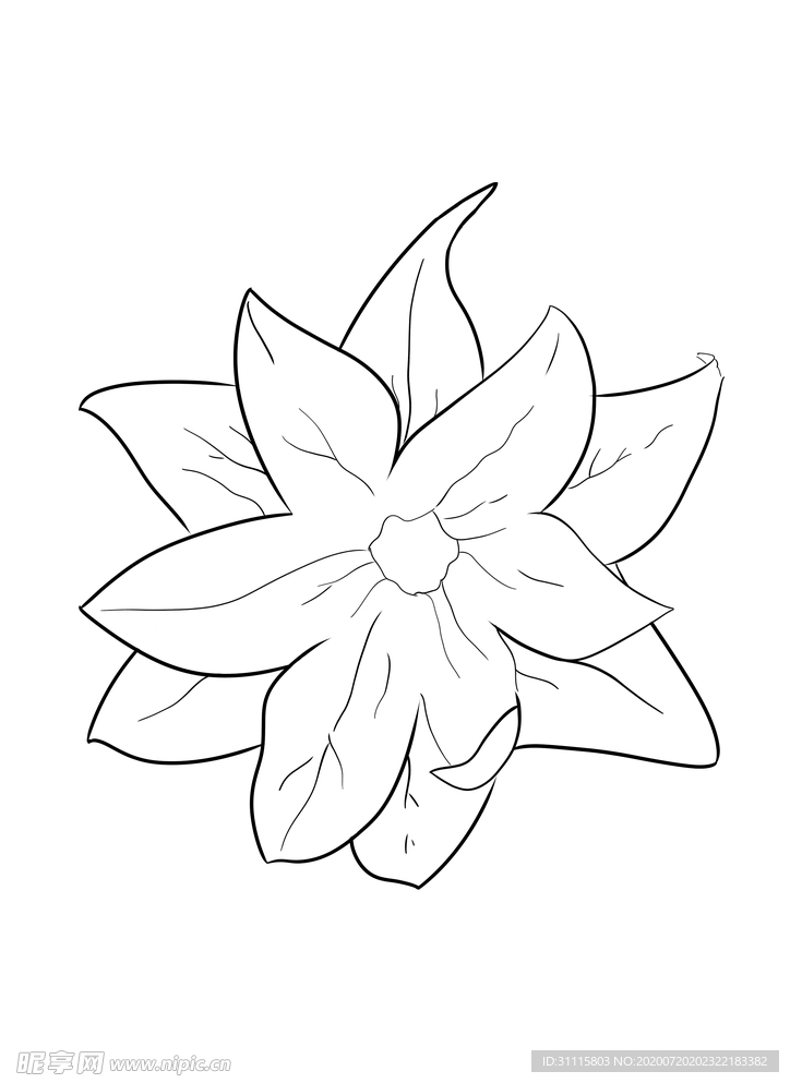 手绘 花 手绘花 线 线稿